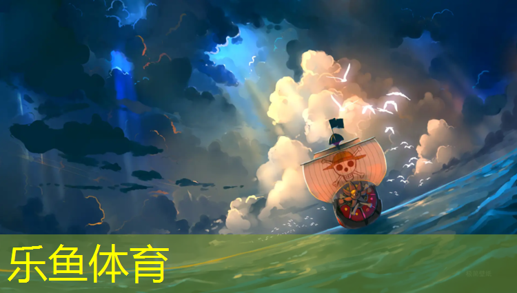 leyu·乐鱼(中国)体育官方网站,跆拳道电子护具侧踢技术