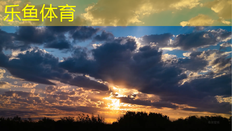 乐鱼体育,体操垫摔跤空翻垫舞蹈训练垫