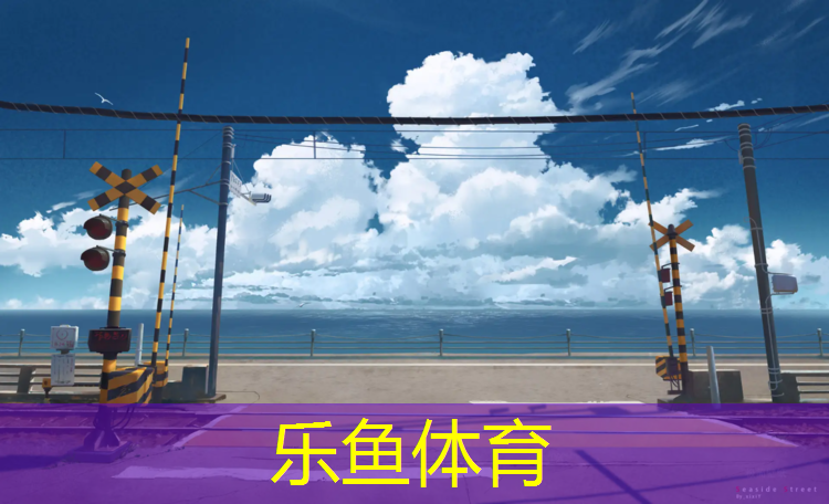 leyu·乐鱼(中国)体育官方网站,飞电3塑胶跑道