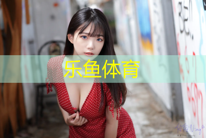 黄山网球网价格查询表