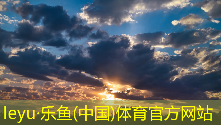 体操垫摔跤空翻垫舞蹈训练垫