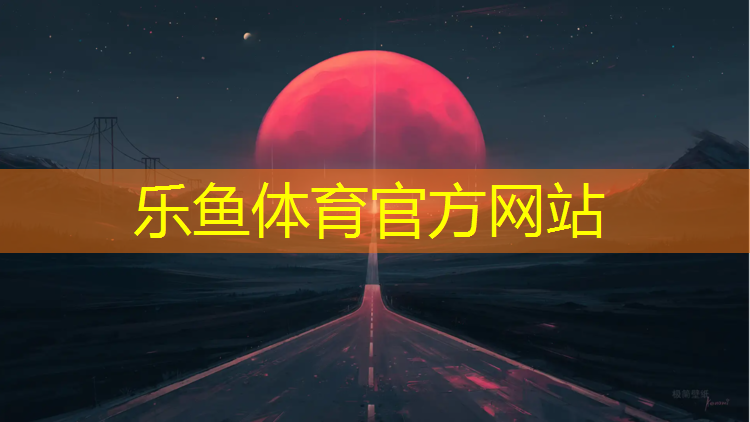 网球网示意图图解